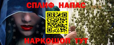 прущие грибы Ачхой-Мартан