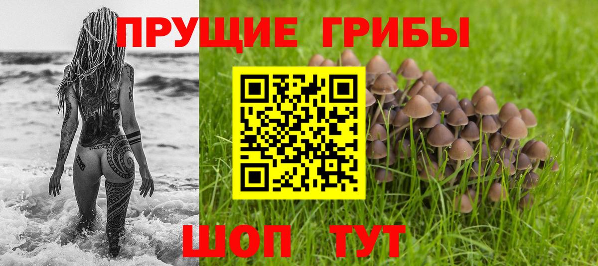 Куйбышев  Галлюциногенные грибы Magic Shrooms  Вход с VPN 
